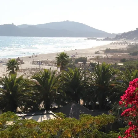 시미우스 플라이아