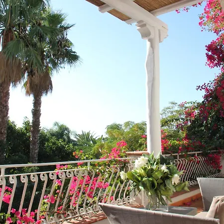 시미우스 플라이아 빌라시미우스