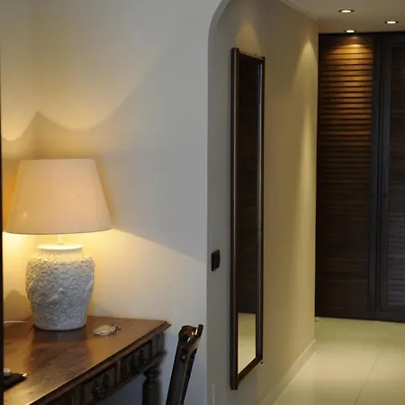 시미우스 플라이아