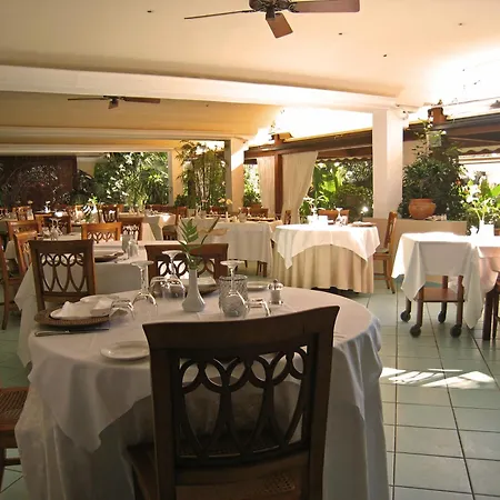 시미우스 플라이아