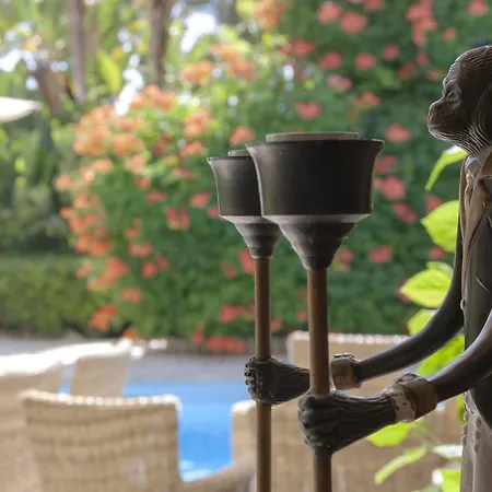 시미우스 플라이아 4*