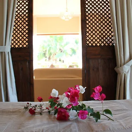 시미우스 플라이아 빌라시미우스