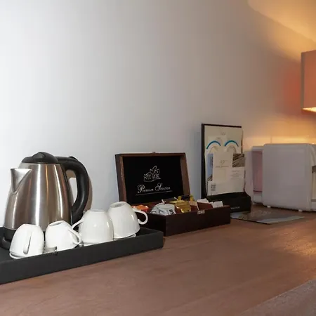 호텔 시미우스 플라이아