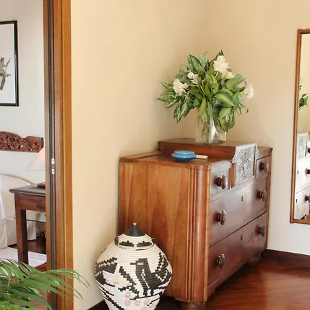 Simius Playa וילסימיוס