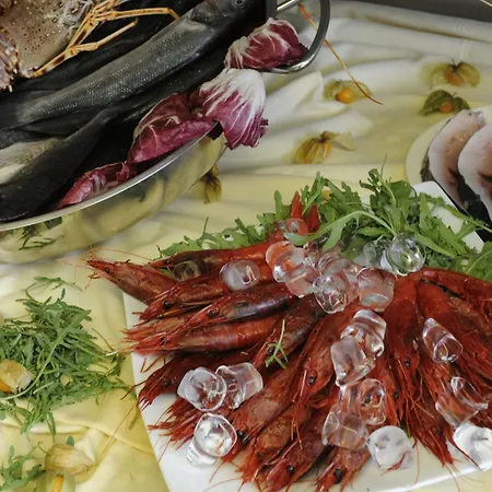 מלון Simius Playa 4*